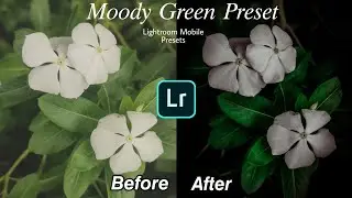Free Lightroom Presets | Moody Green Flower Preset | Lightroom Mobile DNG