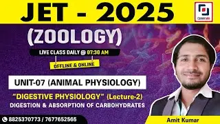 Digestion & Absorption of Carbohydrate -2 | Unit-07 (Animal Physiology)| JET-2025  l Amit Kumar Sir