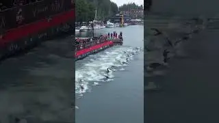 Swim course fit for the best 💯It&rsquo;s day 2 and time for our men&rsquo;s race here in Lahti