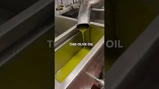 How Italians make their olive oil Part 2