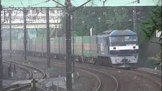 2016 6 10 (金)　東海道本線　早朝の貨物列車　深緑と、大カーブを駆け抜ける列車たち