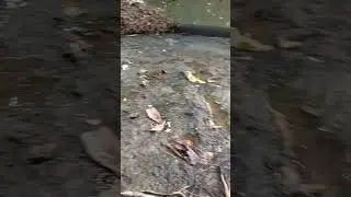Nature Welcome to Cabusao