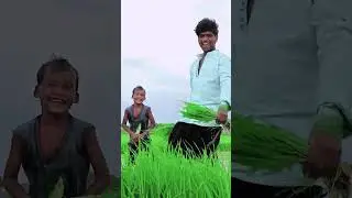 चिंगारी | #Raushan Rohi #viraldance #lofi #lofidance #maghi_song #rangdari #newpost #youtube
