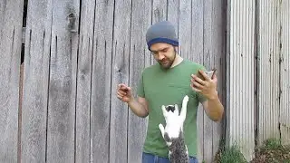 Jealous Cat Bombs Halloween Video