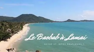 #KohSamui : pourquoi tout le monde adore Lamai Beach 😍 ! (revue Le Baobab) #lamaibeachwalk