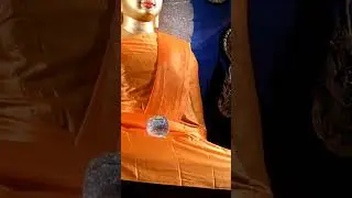 mahabodhi temple Bodhgaya #buddha #buddhism #buddhist #dhamma #sangha #india #bodhgaya #dharma