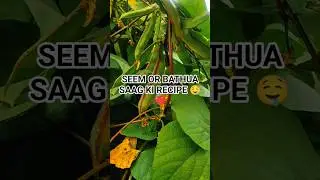 SEEM OR BATHUA SAAG KI NEW RECIPE 🤤#newrecipe #delicious #kitchen #dailyvlog #newvideo #viralvideo
