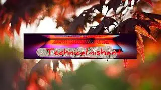 All Star Whatsapp Phone Number/real Whatsapp Phone Number/by Technical Nishant
