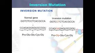 Inversion mutation