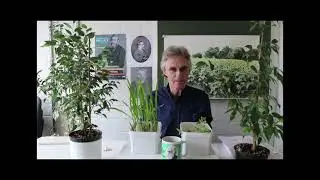 Pflanzenintelligenz & Respekt vor der Vegetation