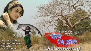 Pabana Re Pabana || Babu I Love You Odia Film || Archita Sahu || Bhagyashree || Bhonsor Toka