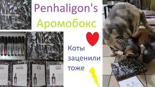 Обзор аромобокса Penhaligon's #духи, #парфюмерия