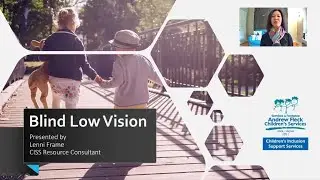 Blind Low Vision