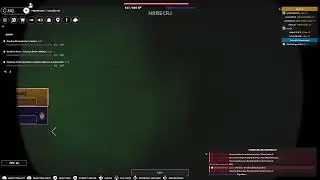 Playing Roblox