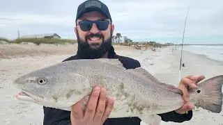 2024 Back at the beach 😎 #Fishing #4k #BigFish #RedFish #SurfFishing #VilanoBeach #StAugustine #Fish