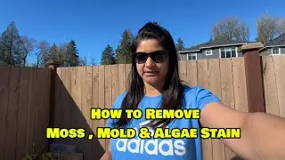 Easy Hack to Remove Moss from Driveway |Patio |Fence & Roof |Wet & Forget