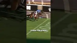 Nothing beats a racing rivalry 🔥