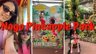 Nago Pineapple Park in Okinawa, Japan!