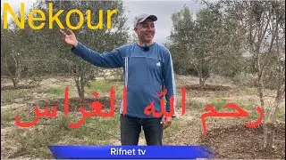 ذكريات من الزمن الجميل / رحم الله الغراس