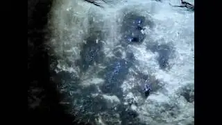 M.K.Davis and Don Monroe discover a giant handprint in Lovelock cave Nevada in 2013.