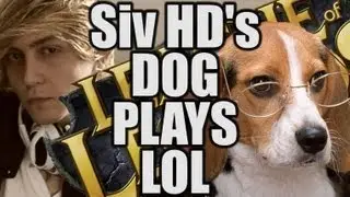 Siv HD's DOG PLAYS LEAGUE