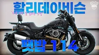 요즘 가장 잘 팔리는 팻밥, 할리데이비슨 팻밥 114