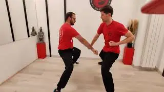 CONDIZIONAMENTO parte #2  Kung Fu W5 #sifupaolop #kungfu #martialarts #kungfuw5 #wingchun #qigong