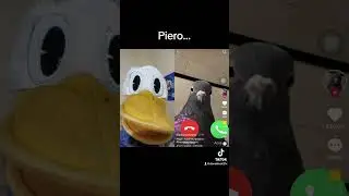 Piero disturba Paperino 🤣❤️🦆