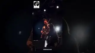 @dedycoutinho pitbullstrings.com.br #baixo #baixobrasil #baixista