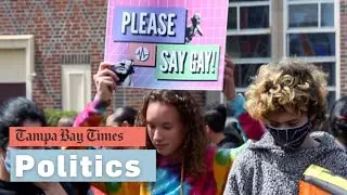Florida&rsquo;s so-called &lsquo;don&rsquo;t say gay&rsquo; bill explained