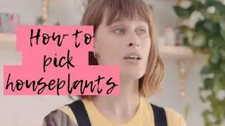 How do I pick the right indoor plants?  🌱 🌿