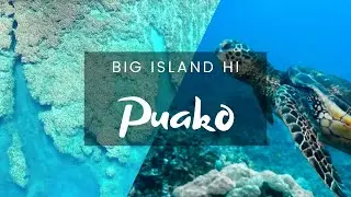 Diving Puako End of The Road | Big Island Hawai'i