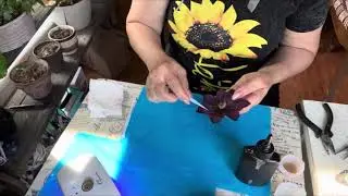 Tutorial collar de flor natural con resina UV