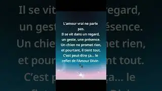 Le reflet de l&rsquo;amour divin # amour inconditionnel  # chien  # foi  # loyaut&eacute; .