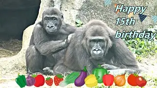 Best wish to Iriki! Happy 15th birthday ! 🥕🍓🥦🌽🍅/ 祝福 Iriki  15歲生日快樂!!🎁🎉🎈