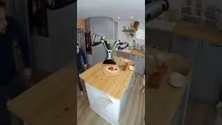 Cat + Dog + Cooking Robot = Kitchen Chaos! 😂
