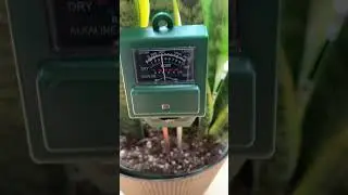 Find the perfect moisture meter for your plants #moisturemeter