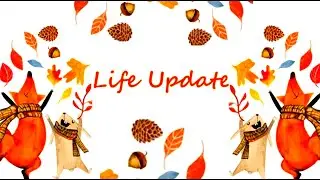 Channel/Life update + Chit Chat ~Fall 2025~