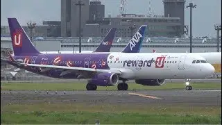 HK Express reward-U Livery Airbus A321-200 B-LEJ Takeoff from NRT 16R