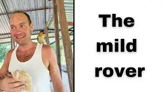 The mild rover