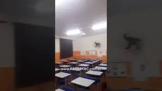 Kit de som ambiente setorizado para escola v&iacute;deo do cliente Daniel