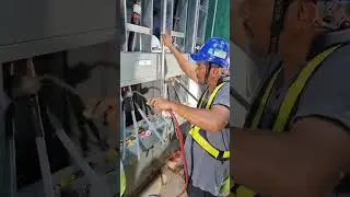 cable termination in panel #electrical #cable #ytshorts