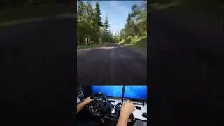 &iquest;Que tal se ve assetto corsa rally? yo creo que es una joya, pero me cuesta manejar r&aacute;pido!