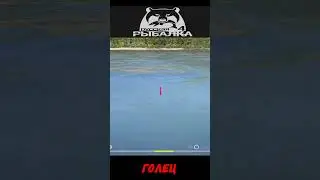 #shorts  #нарезка #Russian Fishing 4#🎮голец