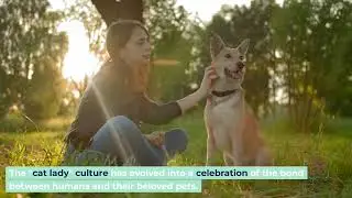 The Deep Emotional Connection: Why Loving Cats Transforms Lives