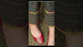 Eid Special Trouser Designs 2023