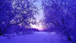 Christmas Edition ~ The Book of Luke ~ Chapter 19