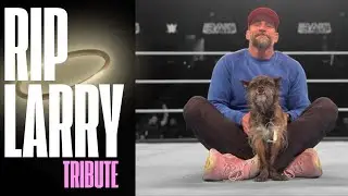 RIP Larry (Tribute Video) CM Punk & AJ Lee's Beloved Dog...