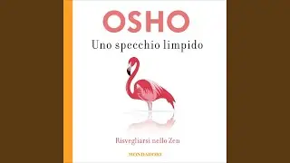 Capitolo 87 - Uno specchio limpido
