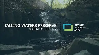 A Visit to Falling Waters Preserve in Saugerties, NY